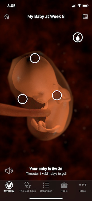 My Baby | UMC Pregnancy App Screenshot