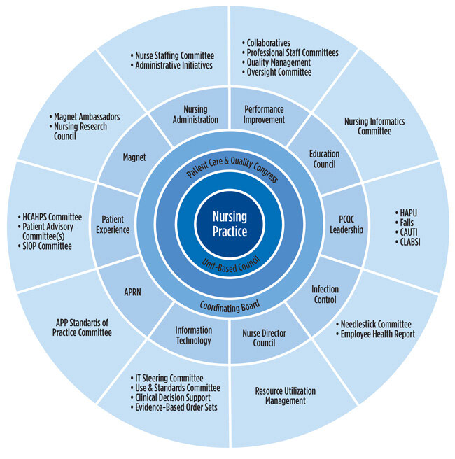 Nurses - Shared Governance Graphic
