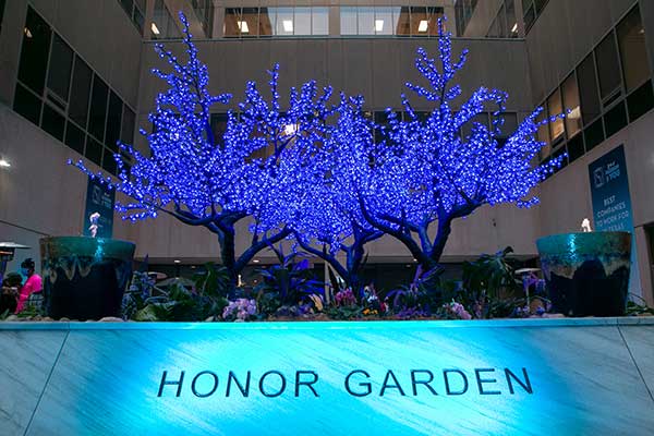 Honor Garden Cover