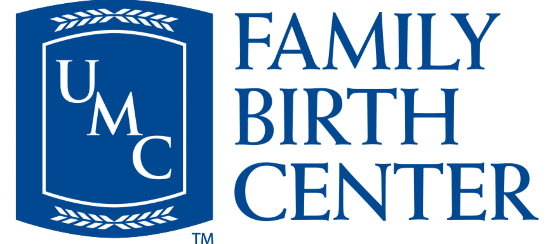 Umc brand guidelines umc health system